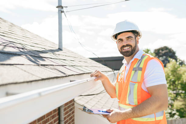 Best Roof Gutter Cleaning  in Algonquin, IL